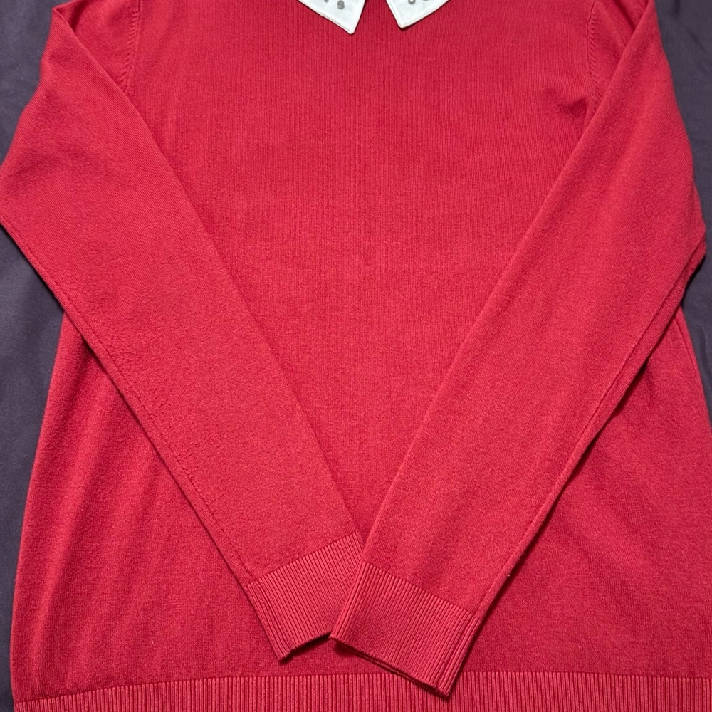 Men's Red Sweater